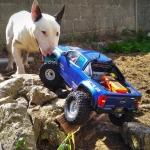 barney-crawlorado-entry2607-img_20210718_113706