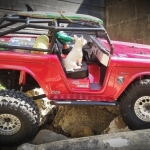 barney-ruby-rocker-entry2640-img_20210828_122453