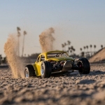 mike-baja-beach-bug-entry2832