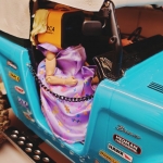 thomas-harrisons-ford-entry2848